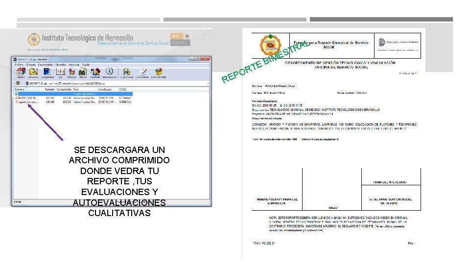 S TE R PO RE SE DESCARGARA UN ARCHIVO COMPRIMIDO DONDE VEDRA TU REPORTE