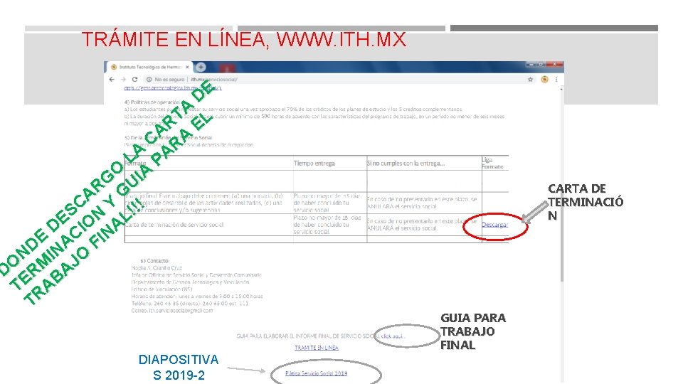 TRÁMITE EN LÍNEA, WWW. ITH. MX DE A T L R E CA RA