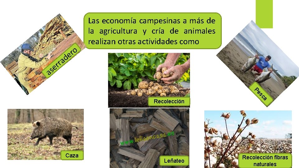 d rra e s a o r e Las economía campesinas a más de