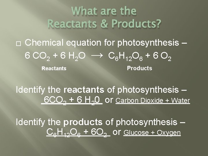 What are the Reactants & Products? � Chemical equation for photosynthesis – 6 CO What are the Reactants & Products? � Chemical equation for photosynthesis – 6 CO