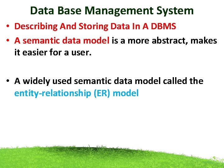 Data Base Management System • Describing And Storing Data In A DBMS • A Data Base Management System • Describing And Storing Data In A DBMS • A