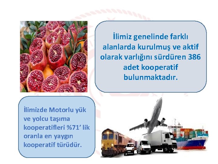 İlimiz genelinde farklı alanlarda kurulmuş ve aktif olarak varlığını sürdüren 386 adet kooperatif bulunmaktadır.