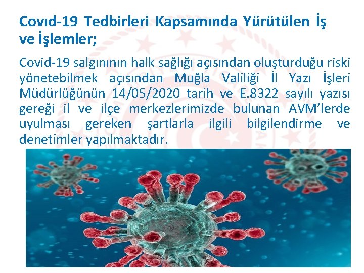 Covıd-19 Tedbirleri Kapsamında Yürütülen İş ve İşlemler; Covid-19 salgınının halk sağlığı açısından oluşturduğu riski