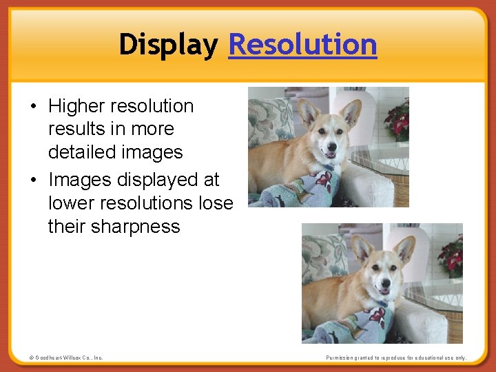 Display Resolution • Higher resolution results in more detailed images • Images displayed at