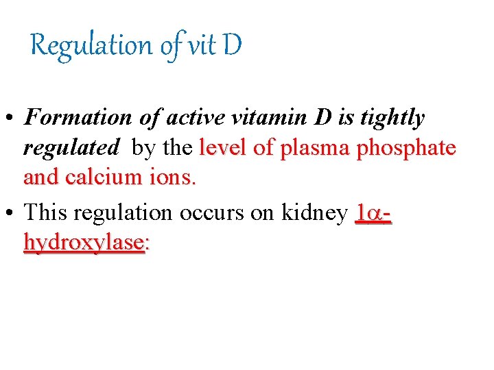 Regulation of vit D • Formation of active vitamin D is tightly regulated by