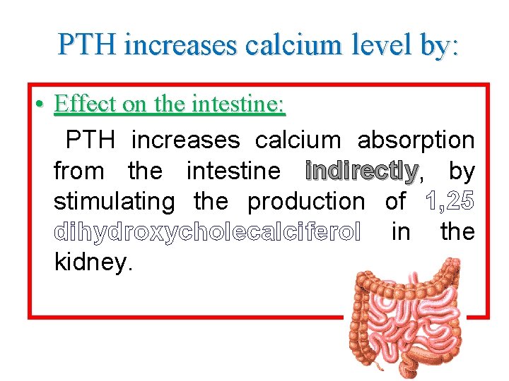 PTH increases calcium level by: • Effect on the intestine: PTH increases calcium absorption