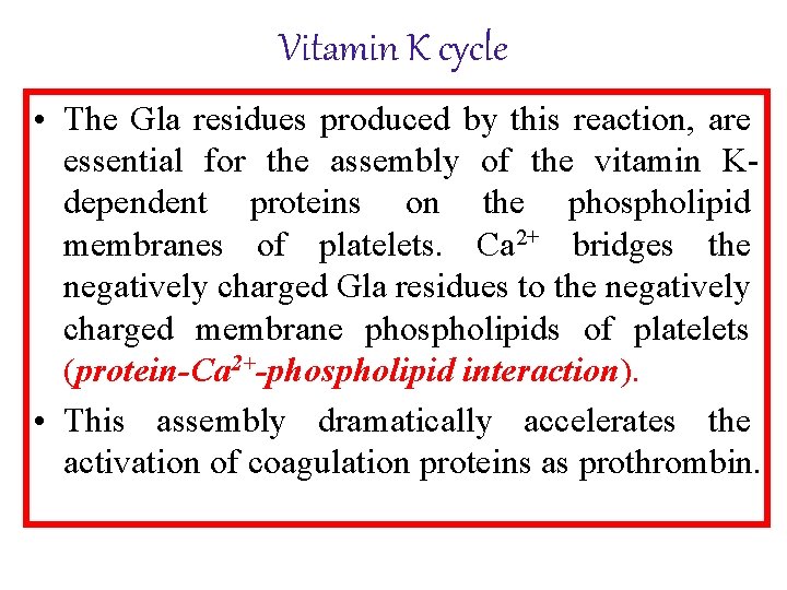 Vitamin K cycle • The Gla residues produced by this reaction, are essential for