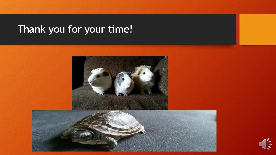 Thank you for your time! 