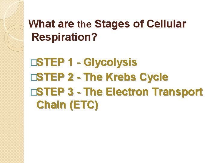 What are the Stages of Cellular Respiration? �STEP 1 - Glycolysis �STEP 2 -
