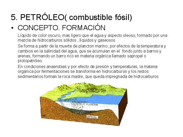 5. PETRÓLEO( combustible fósil) • CONCEPTO. FORMACIÓN Líquido de color oscuro, mas ligero que
