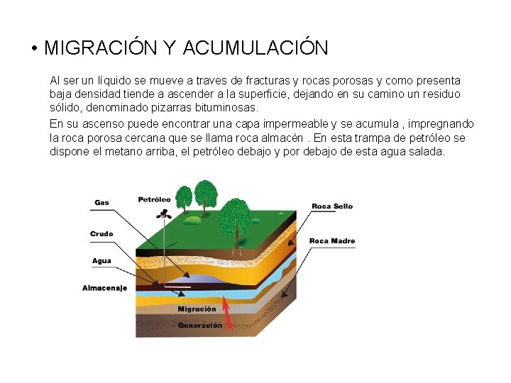 • MIGRACIÓN Y ACUMULACIÓN Al ser un líquido se mueve a traves de