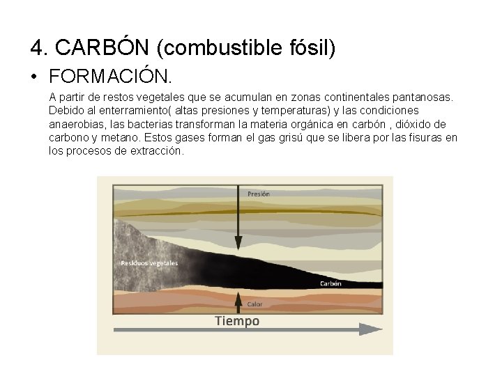 4. CARBÓN (combustible fósil) • FORMACIÓN. A partir de restos vegetales que se acumulan