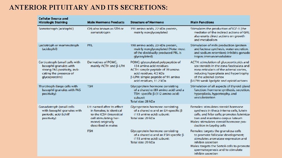 ANTERIOR PITUITARY AND ITS SECRETIONS: 