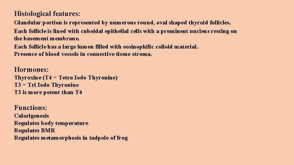Histological features: Glandular portion is represented by numerous round, oval shaped thyroid follicles. Each