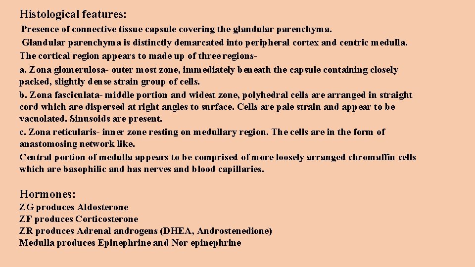 Histological features: Presence of connective tissue capsule covering the glandular parenchyma. Glandular parenchyma is