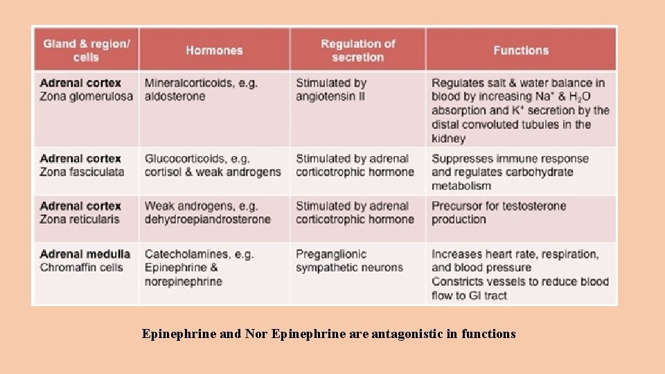 Epinephrine and Nor Epinephrine are antagonistic in functions 