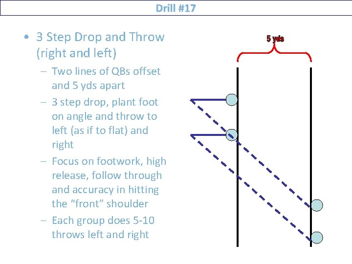 Drill #17 • 3 Step Drop and Throw (right and left) – Two lines