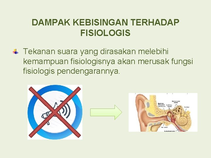 DAMPAK KEBISINGAN TERHADAP FISIOLOGIS Tekanan suara yang dirasakan melebihi kemampuan fisiologisnya akan merusak fungsi