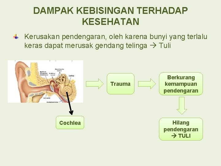 DAMPAK KEBISINGAN TERHADAP KESEHATAN Kerusakan pendengaran, oleh karena bunyi yang terlalu keras dapat merusak