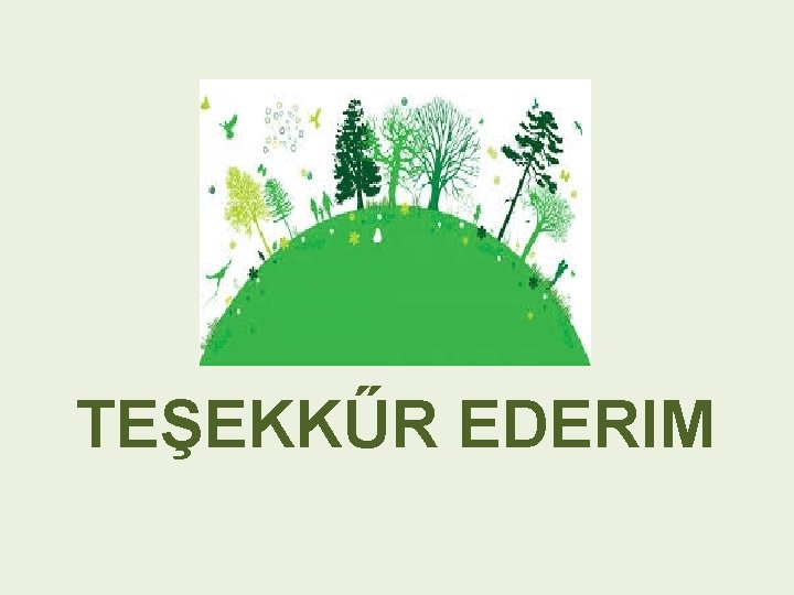 TEŞEKKŰR EDERIM 