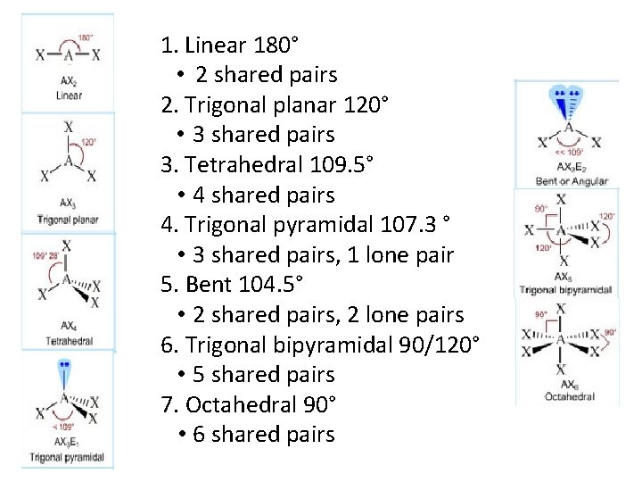 1. Linear 180° • 2 shared pairs 2. Trigonal planar 120° • 3 shared