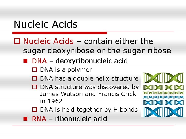 Nucleic Acids o Nucleic Acids – contain either the sugar deoxyribose or the sugar