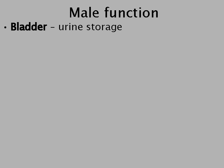Male function • Bladder – urine storage 