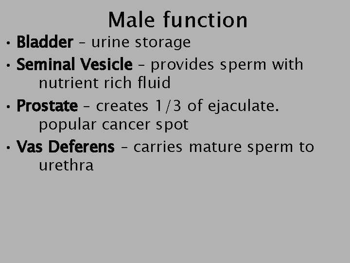 Male function • Bladder – urine storage • Seminal Vesicle – provides sperm with
