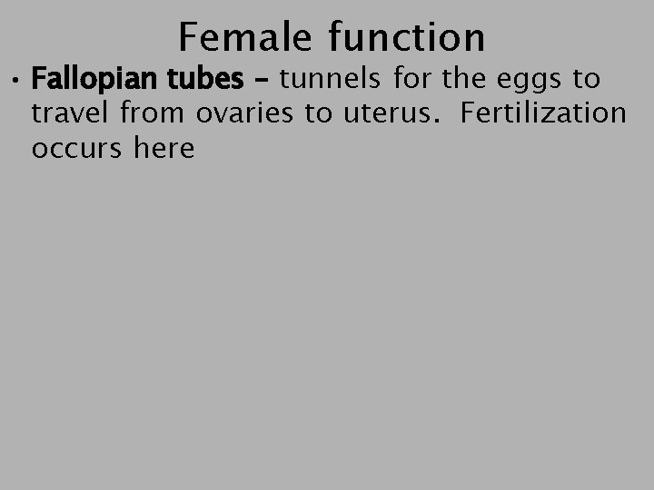Female function • Fallopian tubes – tunnels for the eggs to travel from ovaries