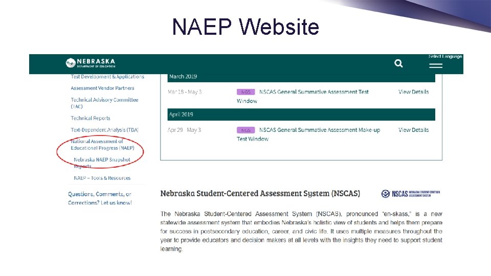 NAEP Website 