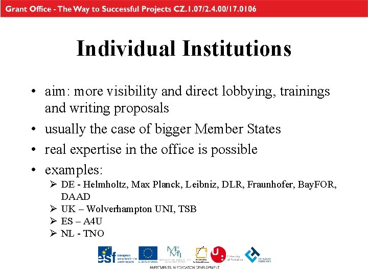 Individual Institutions • aim: more visibility and direct lobbying, trainings and writing proposals •