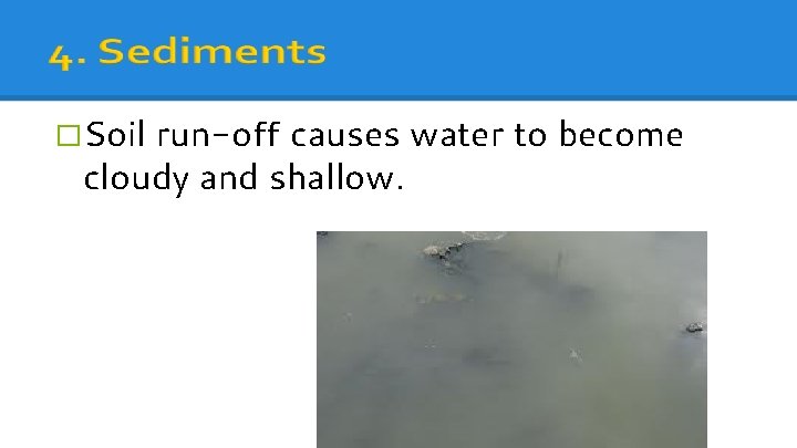 �Soil run-off causes water to become cloudy and shallow. 