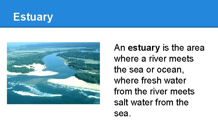 Estuary An estuary is the area where a river meets the sea or ocean,