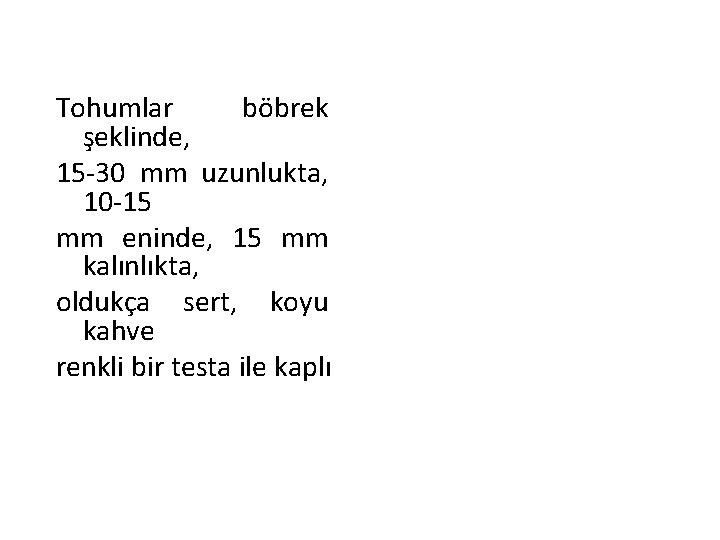 Tohumlar böbrek şeklinde, 15 -30 mm uzunlukta, 10 -15 mm eninde, 15 mm kalınlıkta,