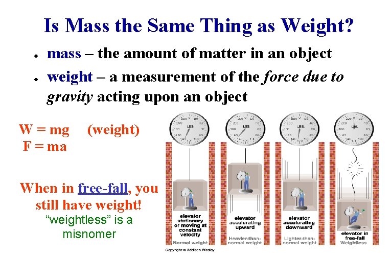 Is Mass the Same Thing as Weight? ● ● mass – the amount of