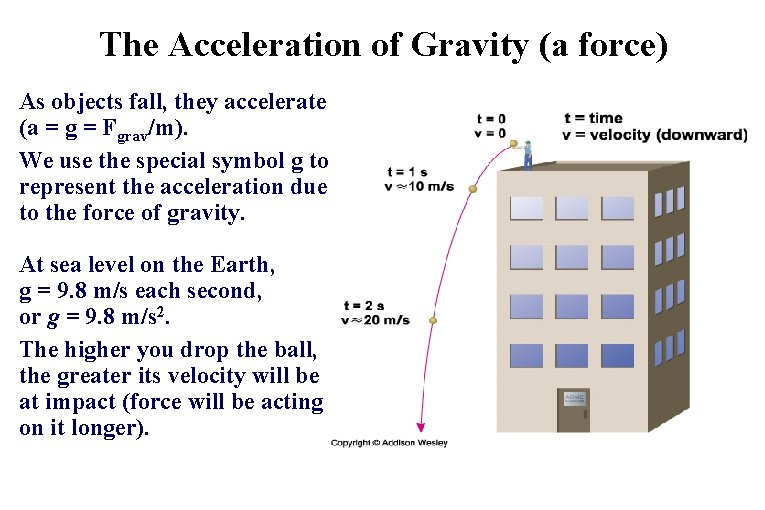 The Acceleration of Gravity (a force) As objects fall, they accelerate (a = g