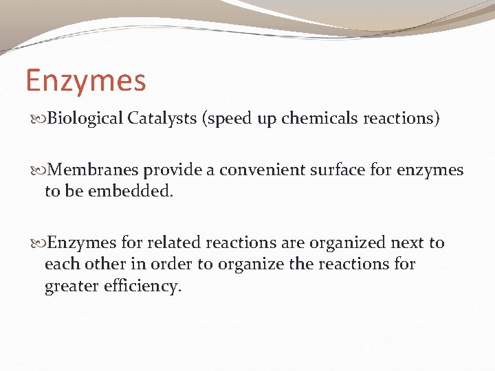 Enzymes Biological Catalysts (speed up chemicals reactions) Membranes provide a convenient surface for enzymes