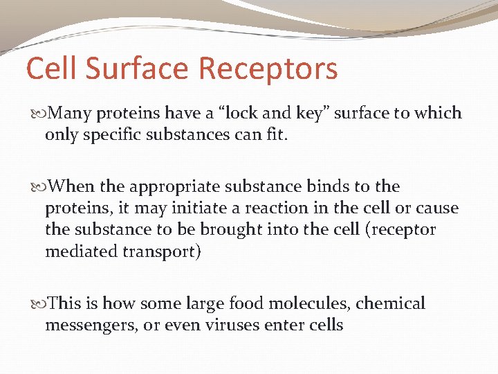Cell Surface Receptors Many proteins have a “lock and key” surface to which only