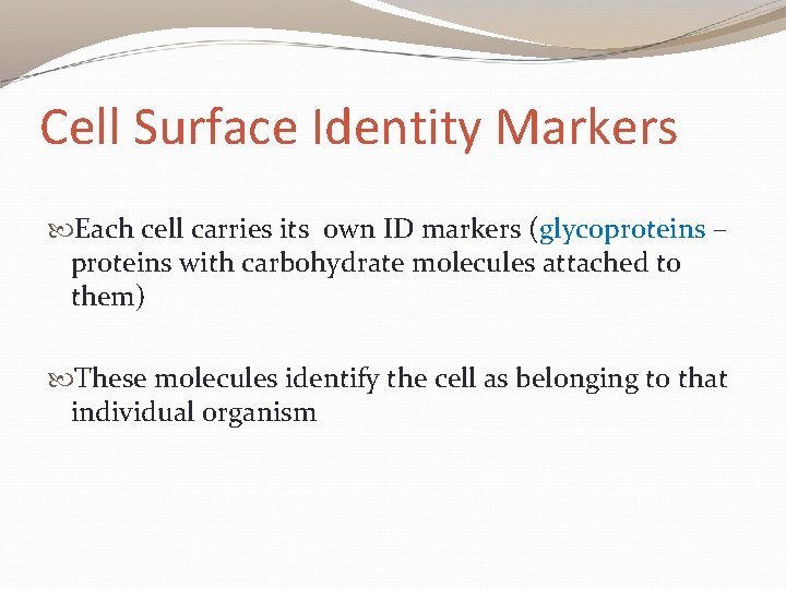 Cell Surface Identity Markers Each cell carries its own ID markers (glycoproteins – proteins