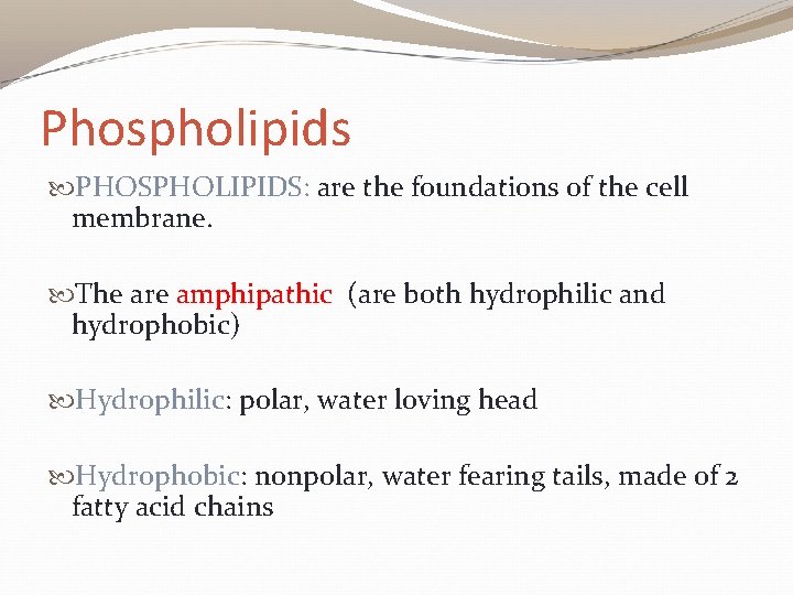 Phospholipids PHOSPHOLIPIDS: are the foundations of the cell membrane. The are amphipathic (are both