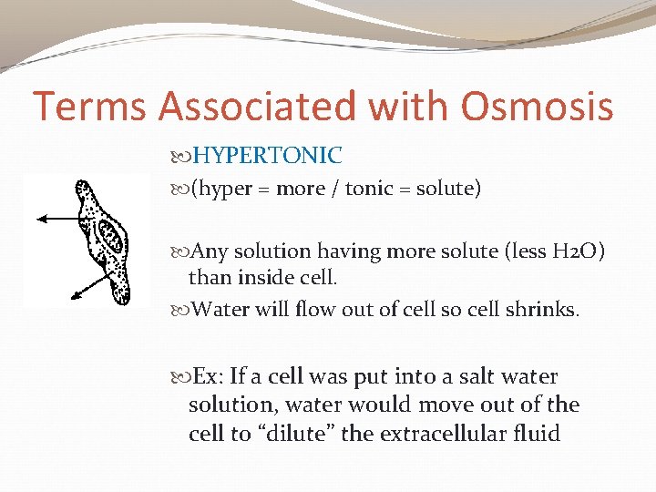 Terms Associated with Osmosis HYPERTONIC (hyper = more / tonic = solute) Any solution