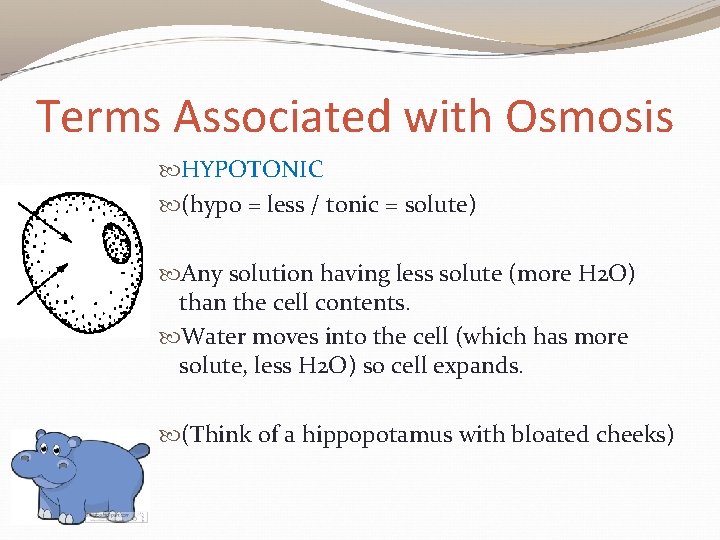 Terms Associated with Osmosis HYPOTONIC (hypo = less / tonic = solute) Any solution