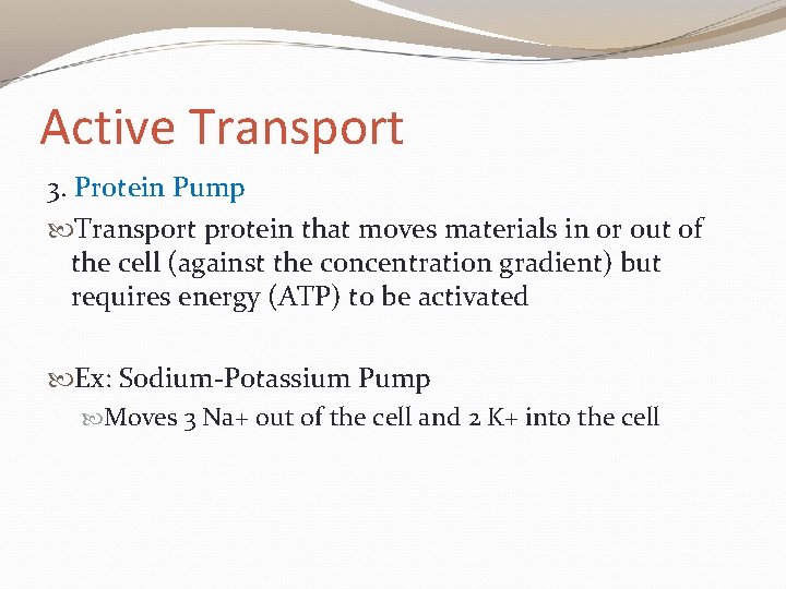 Active Transport 3. Protein Pump Transport protein that moves materials in or out of