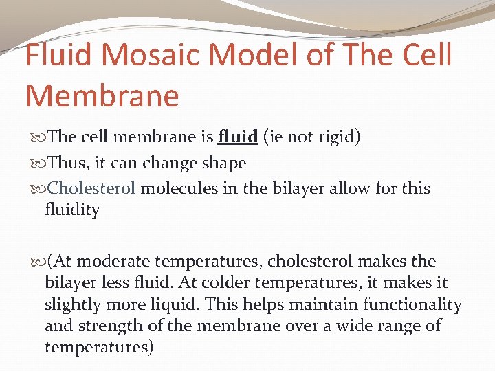 Fluid Mosaic Model of The Cell Membrane The cell membrane is fluid (ie not