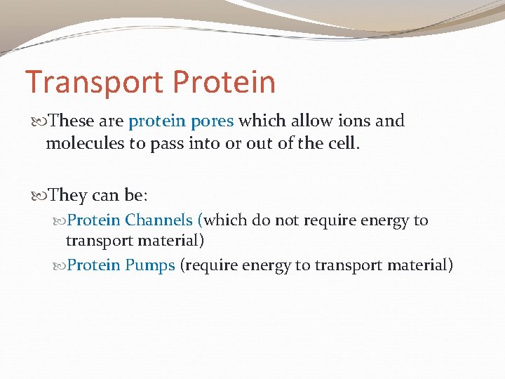 Transport Protein These are protein pores which allow ions and molecules to pass into