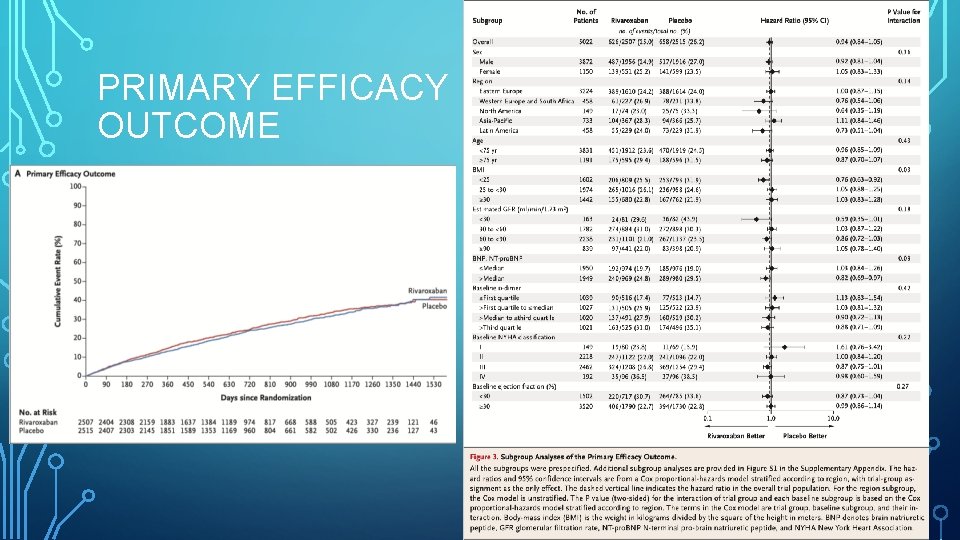 PRIMARY EFFICACY OUTCOME 