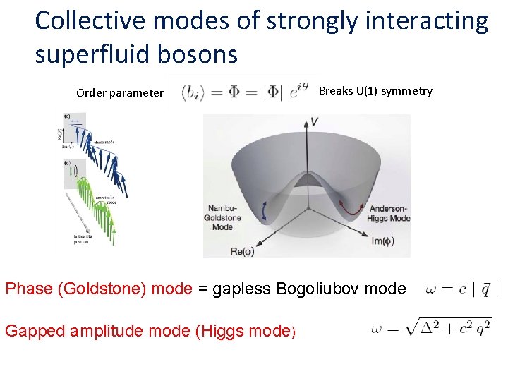 Collective modes of strongly interacting superfluid bosons Order parameter Breaks U(1) symmetry Phase (Goldstone)