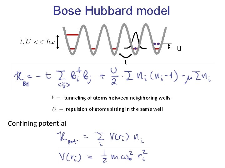 Bose Hubbard model U t tunneling of atoms between neighboring wells repulsion of atoms