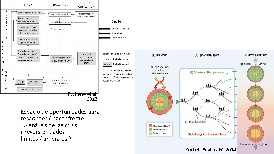 Eychene et al. 2013 Espacio de oportunidades para responder / hacer frente => análisis