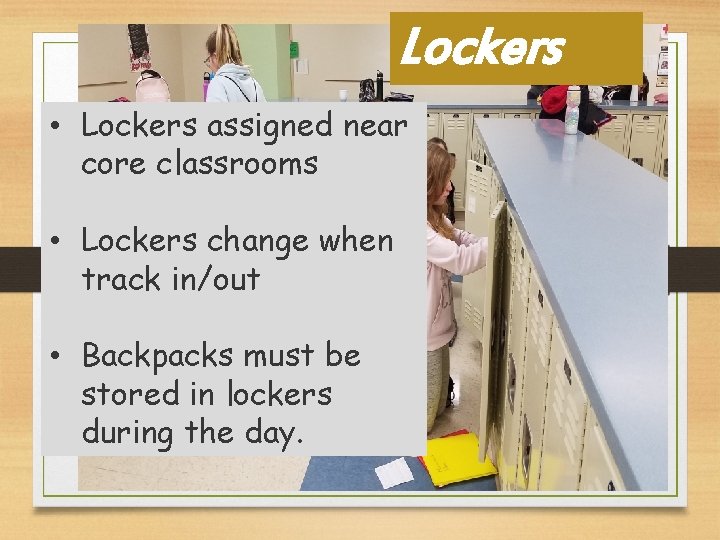 Holly Grove Middle School Home of the Bulldogs